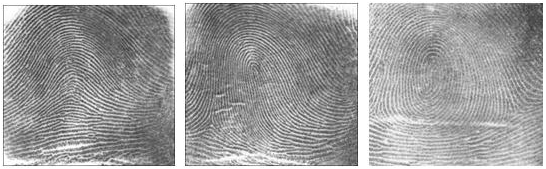Fingerprints2